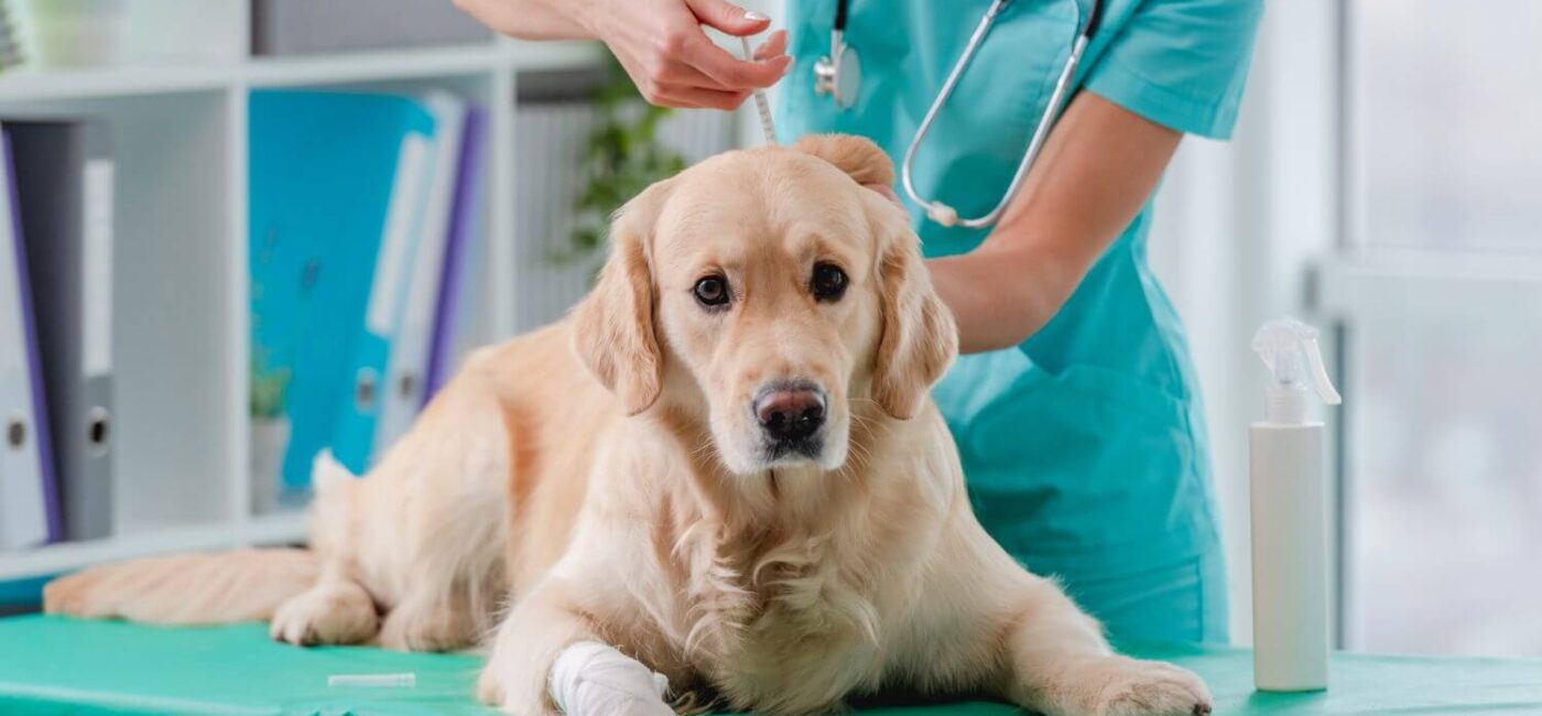 Bahçelievler’de Aşılama ve Koruyucu Hekimlik Hizmeti